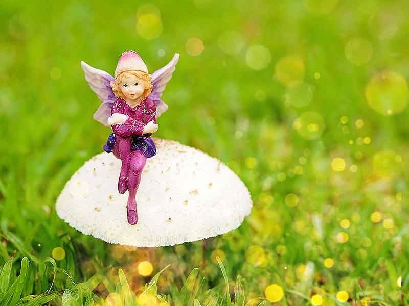Enchanted Eight: Fairies and Magic Around the World