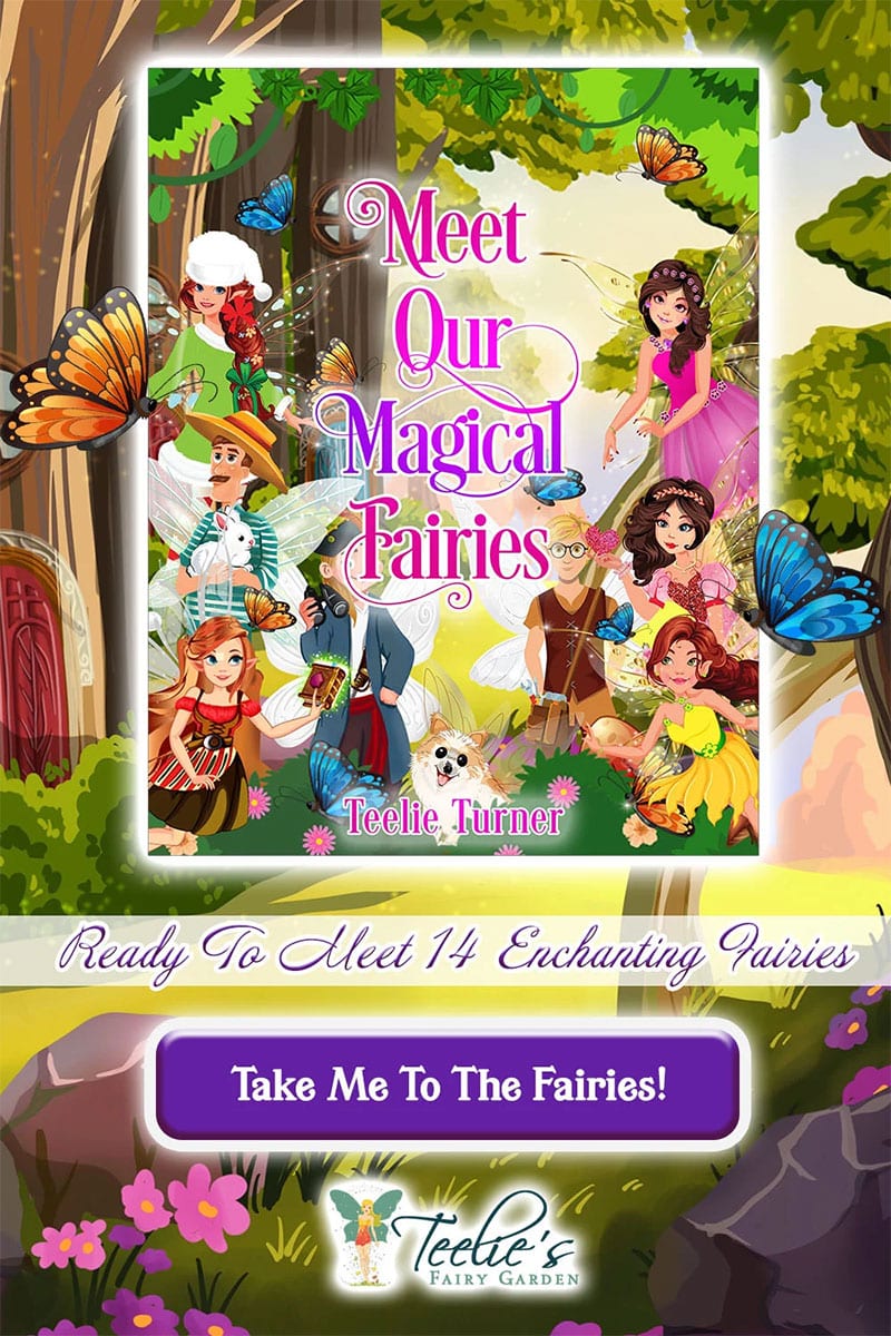 meet our magical fairies banner