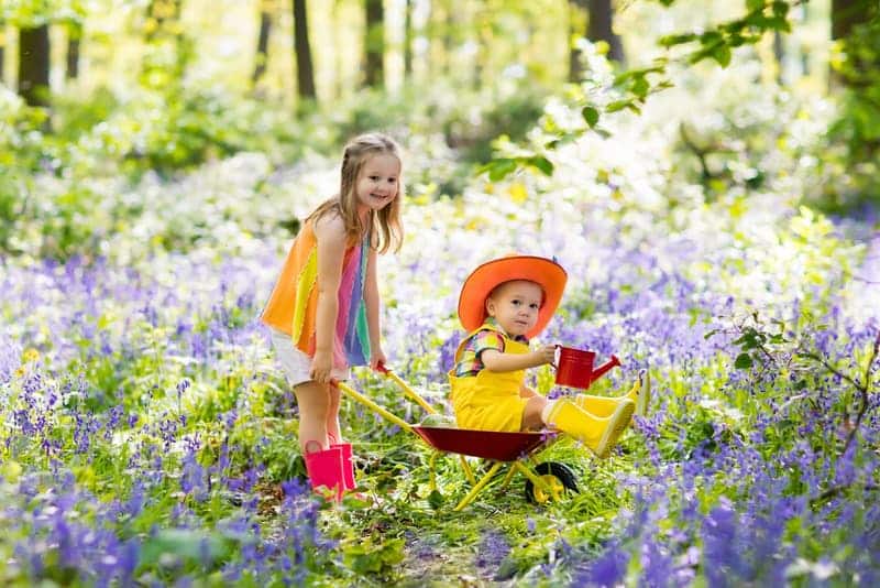 Creating an Easter Fairy Garden