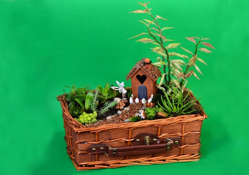 Imaginative Fairy Garden Planters