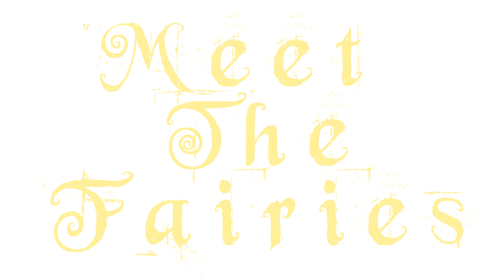 Meet Fairies