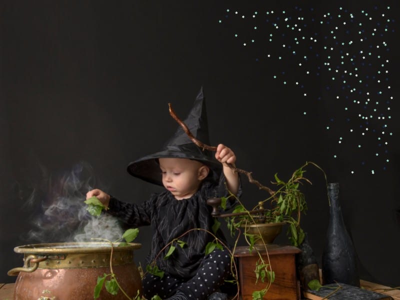 How to Create a Magical Halloween Fairy Garden