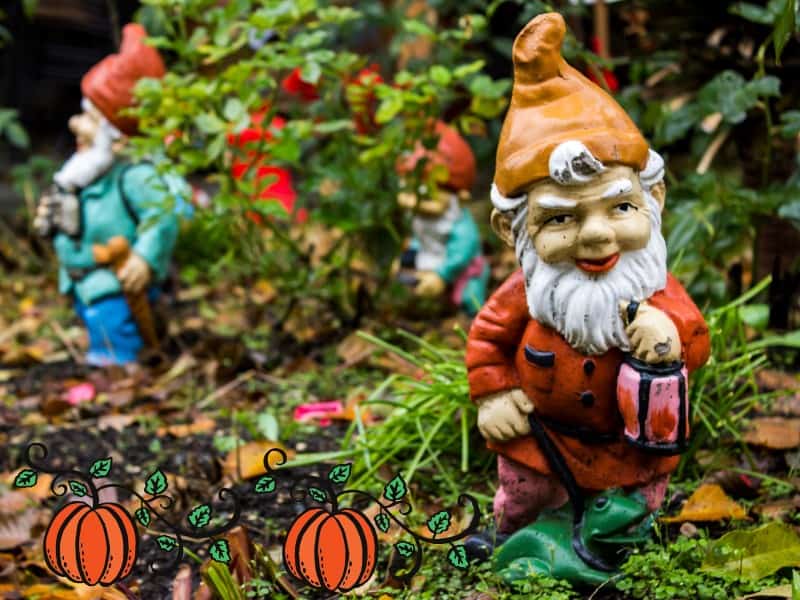 Create a Halloween Garden for the Gnomes