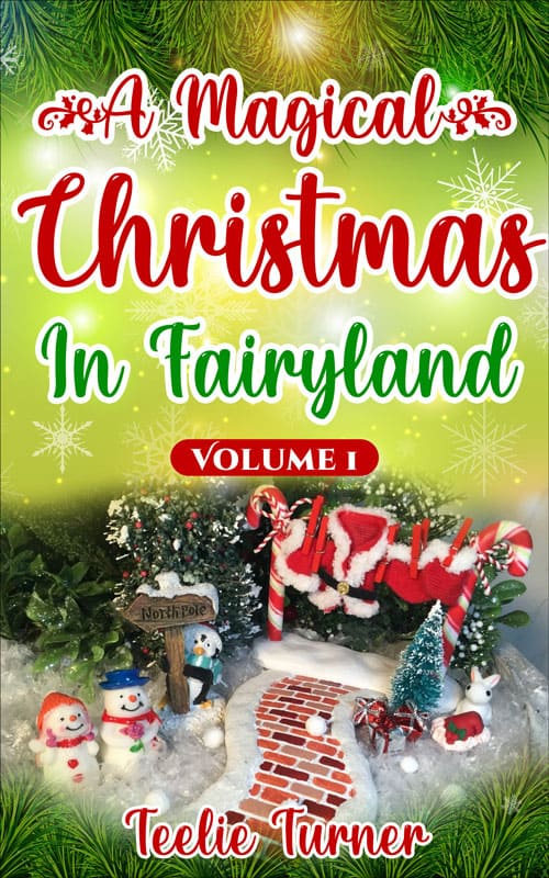 Christmas In Fairyland