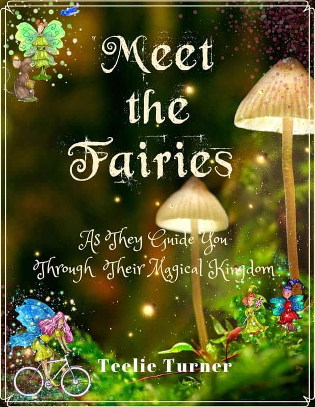 Meet The Fairy