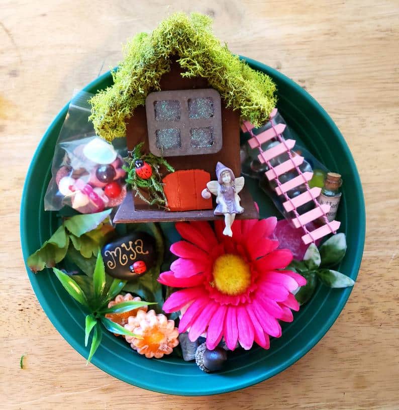 Fairy garden kit