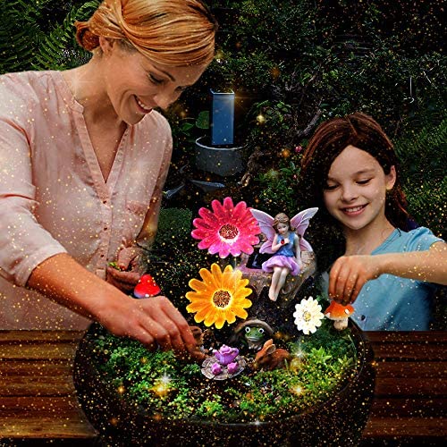 Fairy garden kit