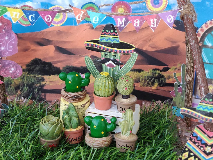 assorted adorable cactus, dollhouse