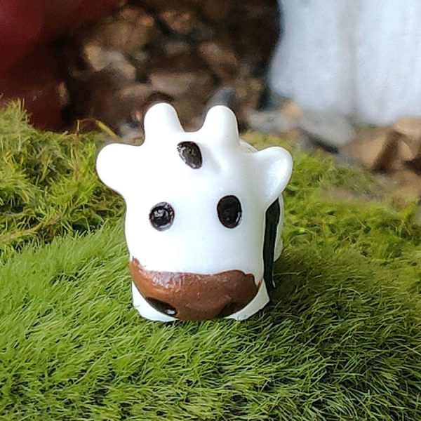 1 miniature sweet cow, cows, mini cows