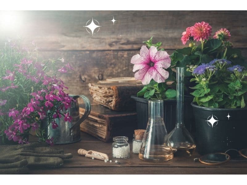 books and flowers