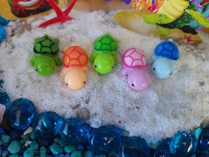turtles are coming to the beach