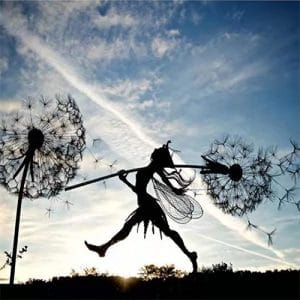 dandelions and fairies dance