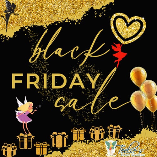 blackfridayinstagram