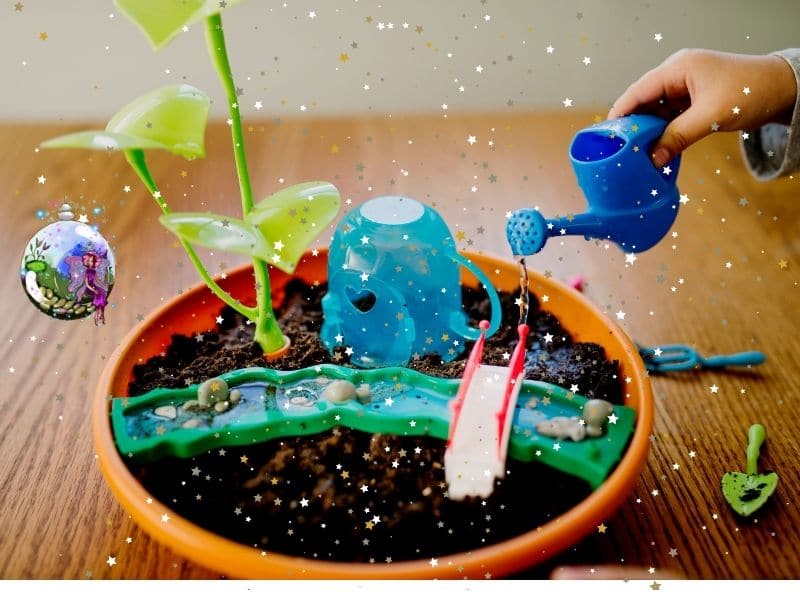 fairy garden kit