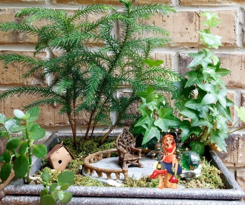 fairy garden