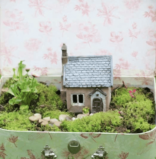 fairy garden