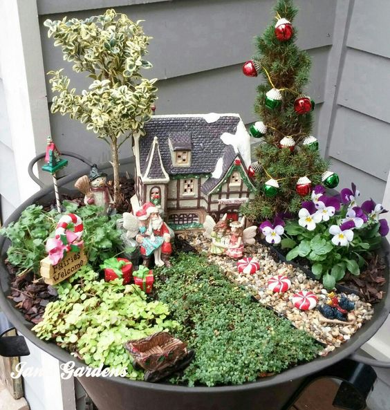 Fairy garden