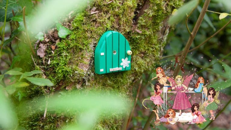 fairies and fairy door