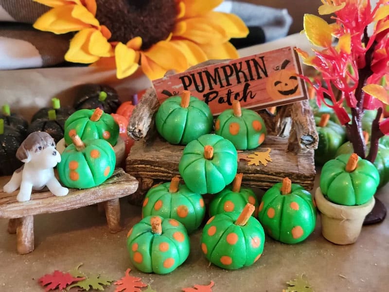 green miniature pumpkins