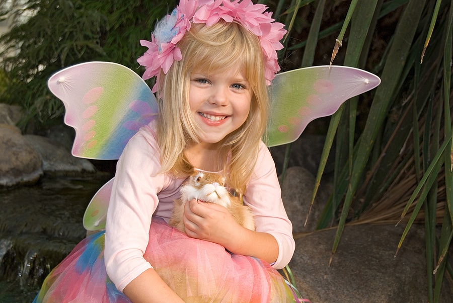 fairy fun