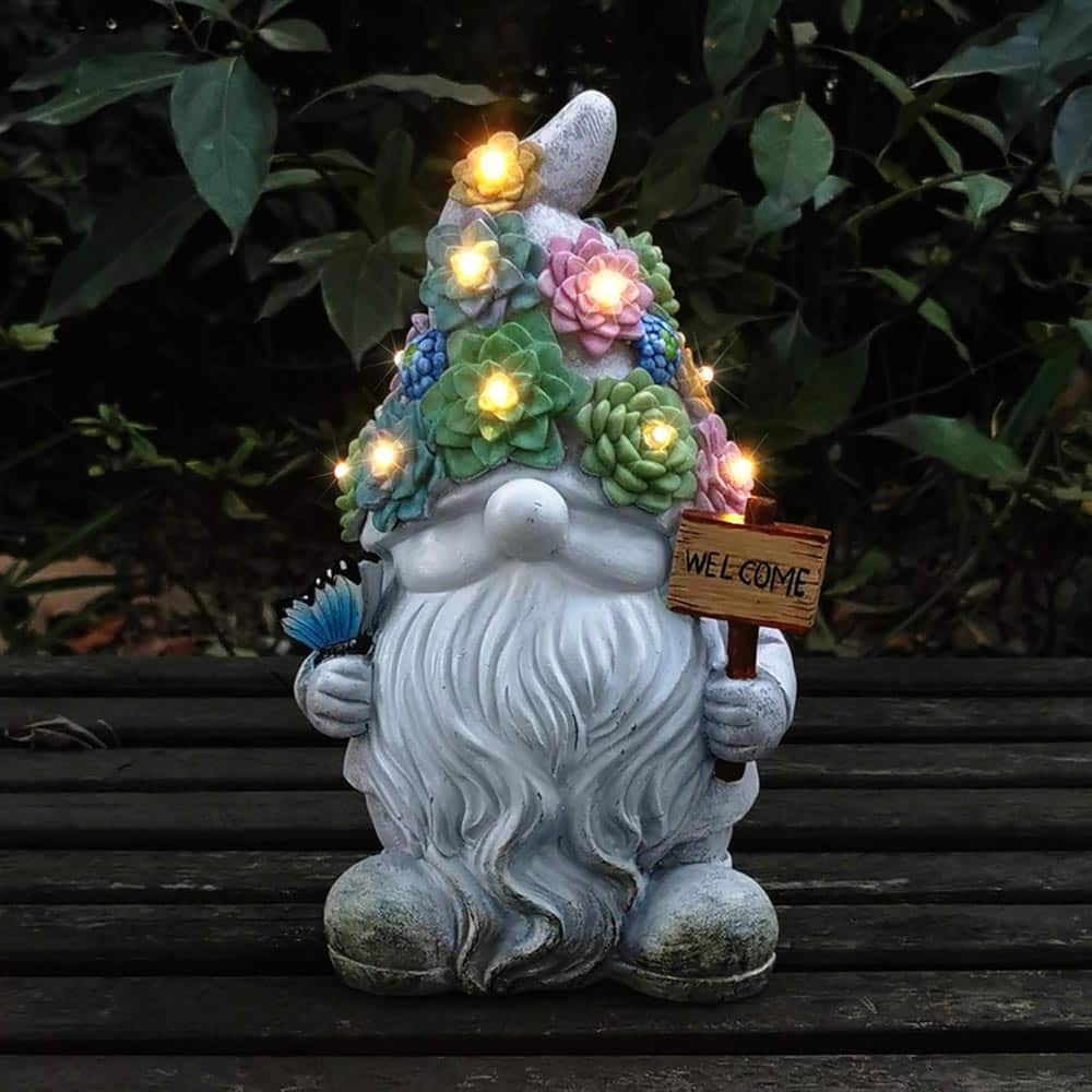magnificent succulent gnome
