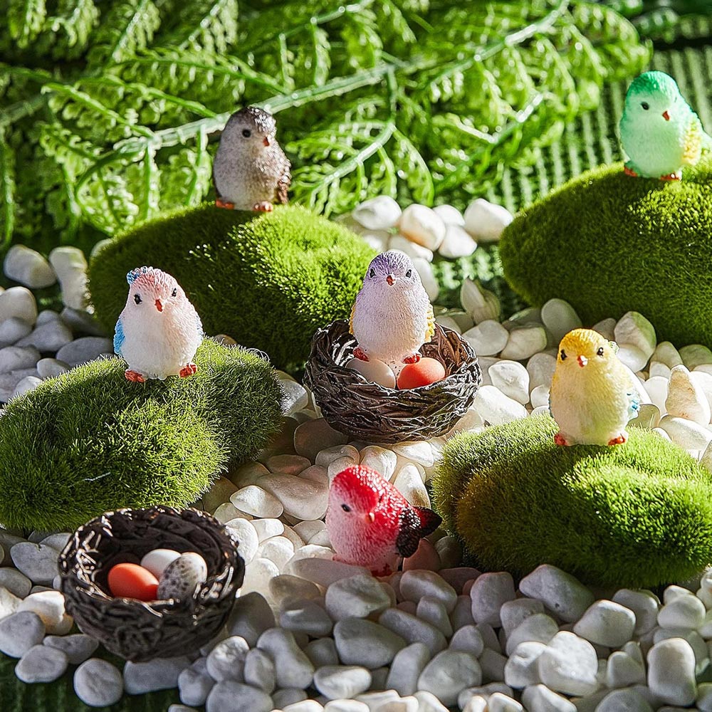 beautiful selection of birds