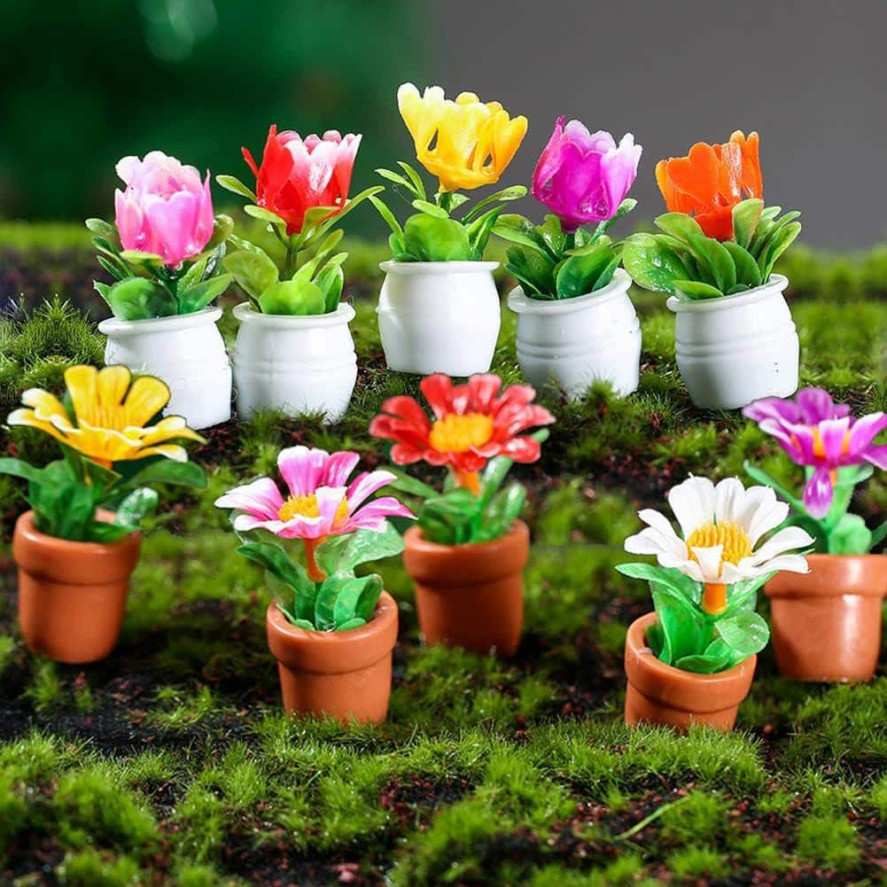 colorful assortment of flowers