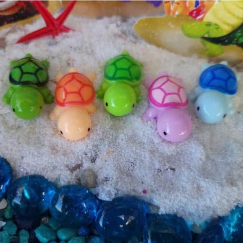 turtles are coming to the beach