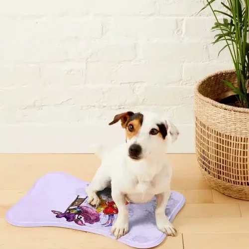 dogmat
