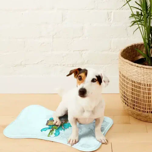 dogmat